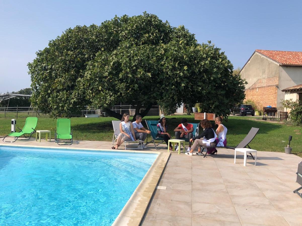 Domaine De L'Ile - Gites Et Chambres D'Hotes Castelsarrasin Ngoại thất bức ảnh